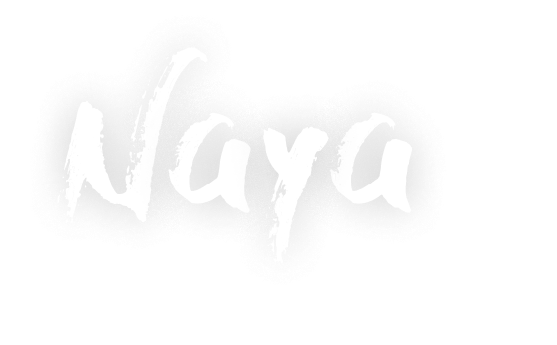 Logo Naya